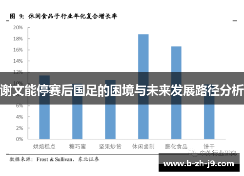 谢文能停赛后国足的困境与未来发展路径分析
