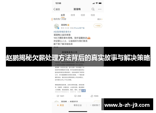 赵鹏揭秘欠薪处理方法背后的真实故事与解决策略 赵鹏揭秘欠薪处理方法背后的真实故事与解决策略