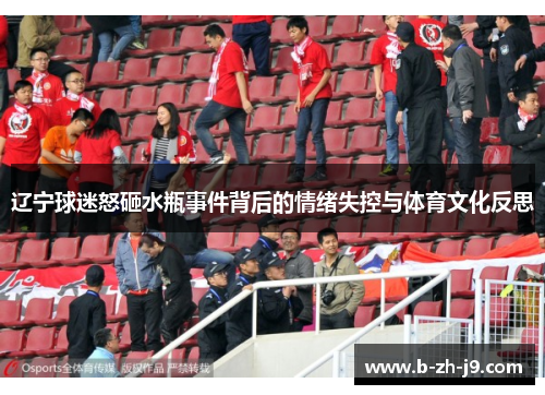 辽宁球迷怒砸水瓶事件背后的情绪失控与体育文化反思
