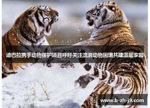 迪巴拉携手动物保护项目呼吁关注流浪动物困境共建温暖家园 迪巴拉携手动物保护项目呼吁关注流浪动物困境共建温暖家园