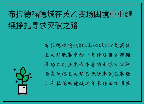 布拉德福德城在英乙赛场困境重重继续挣扎寻求突破之路